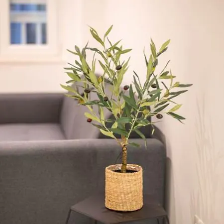 Appartement Canta I